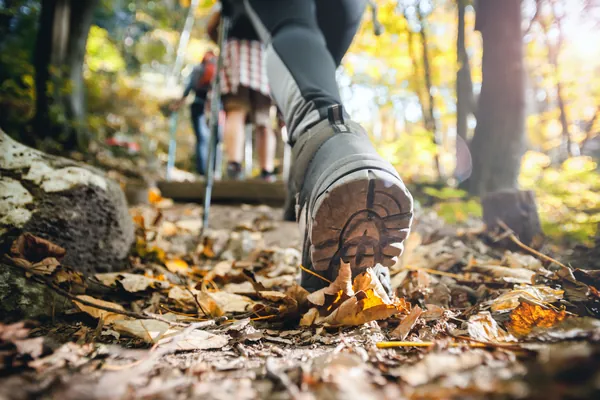 Randonneurs sur un sentier forestier tapissé de feuilles d'automne